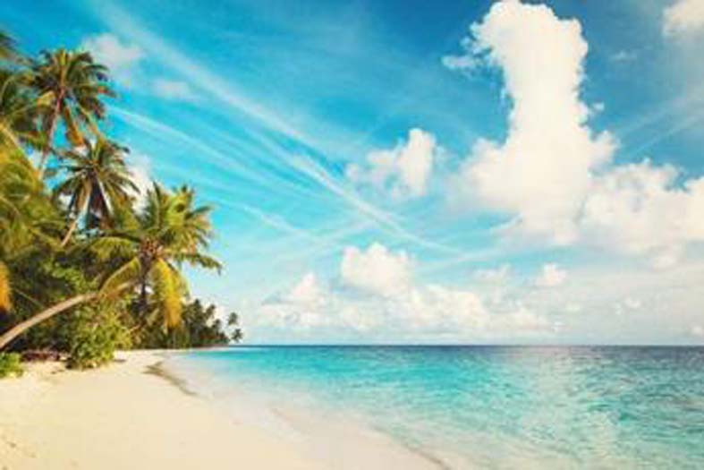 AMERICAS & CARIBBEAN ROADSHOW