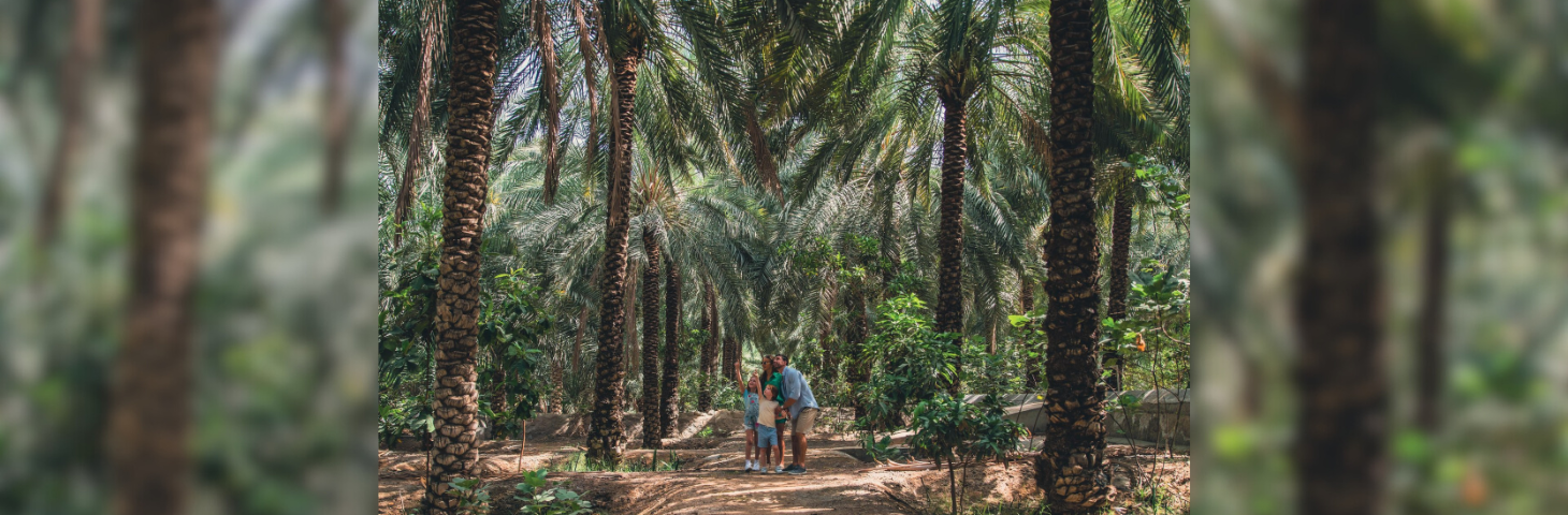 A family in a jungle-esque hotel garden in Ras Al Khaimah, with the youngest child pointing to the sky.