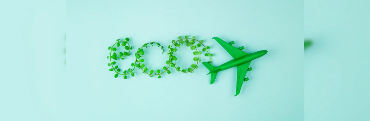 Leaves spelling out the word 'eco' next to a green plane facing forwards.