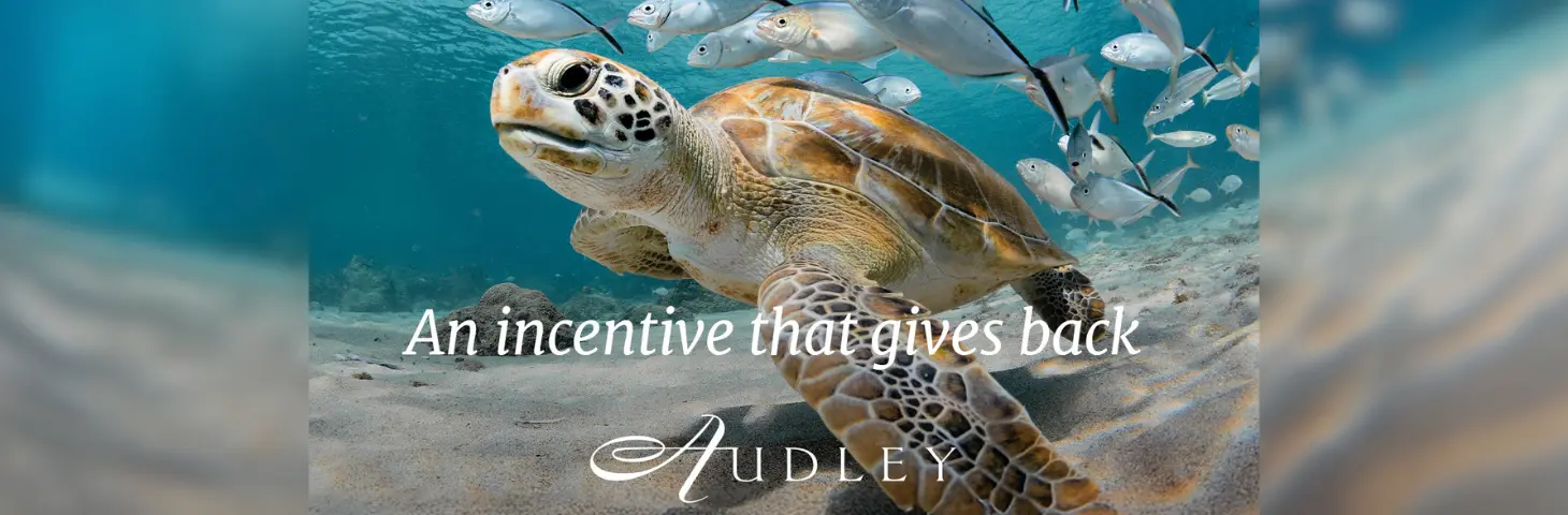 Image of a turtle swimming with the words 'An incentive that gives back' 