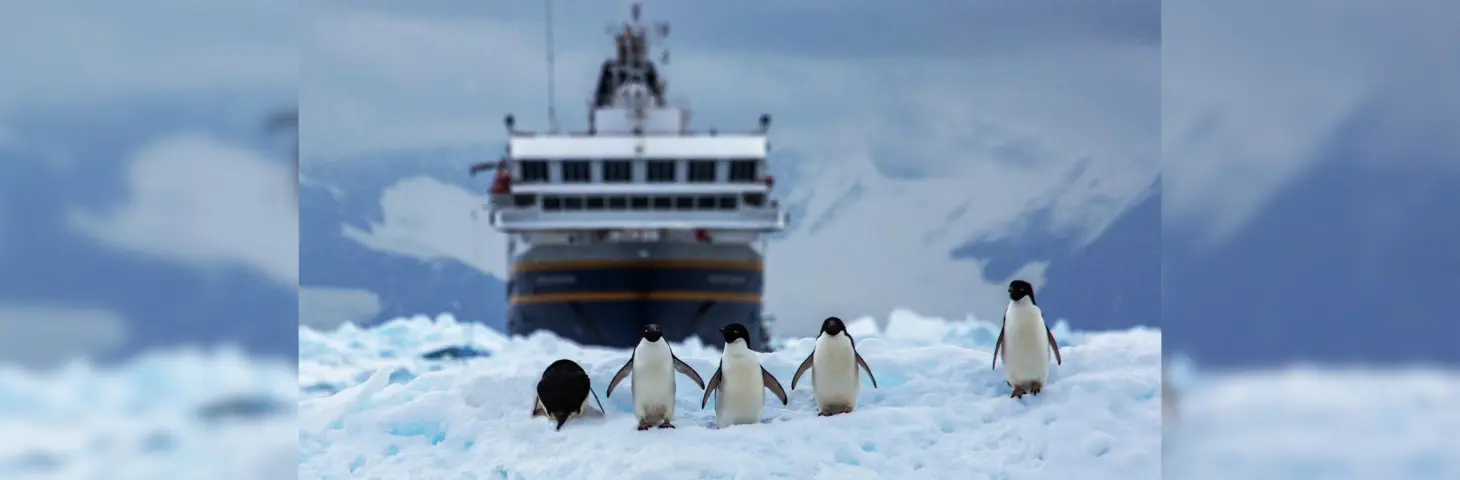 Image of five penguins in front of an expedition cruise vessel in the ice