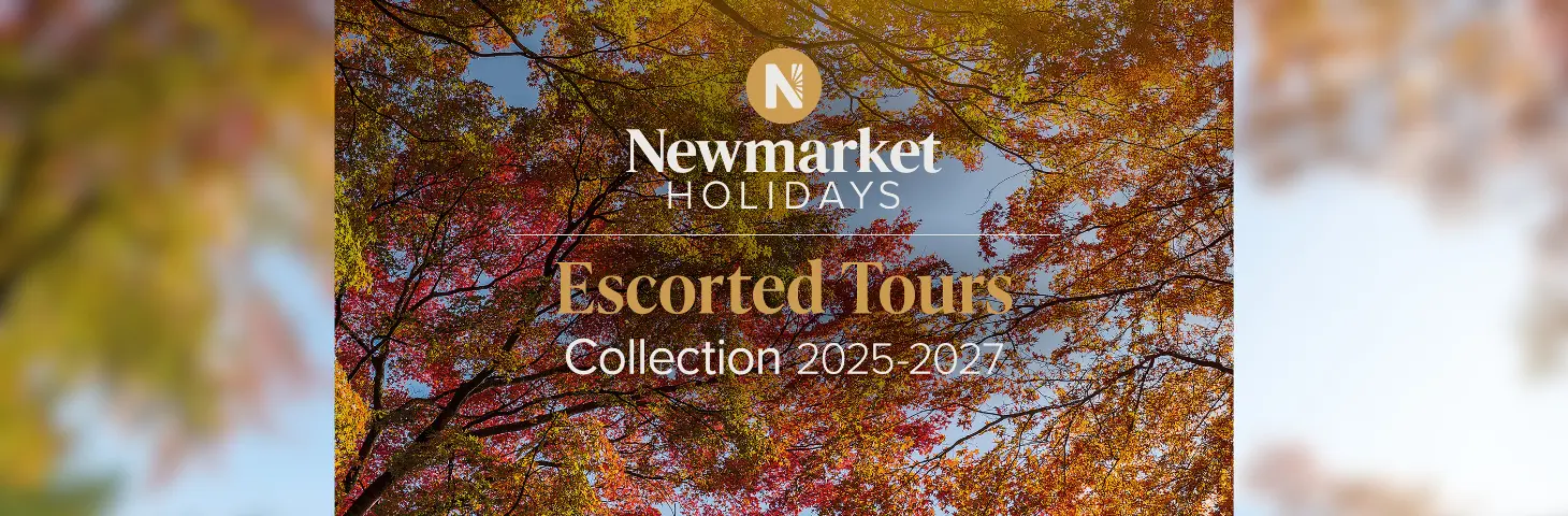 Image of the Newmarket's new brochure cover