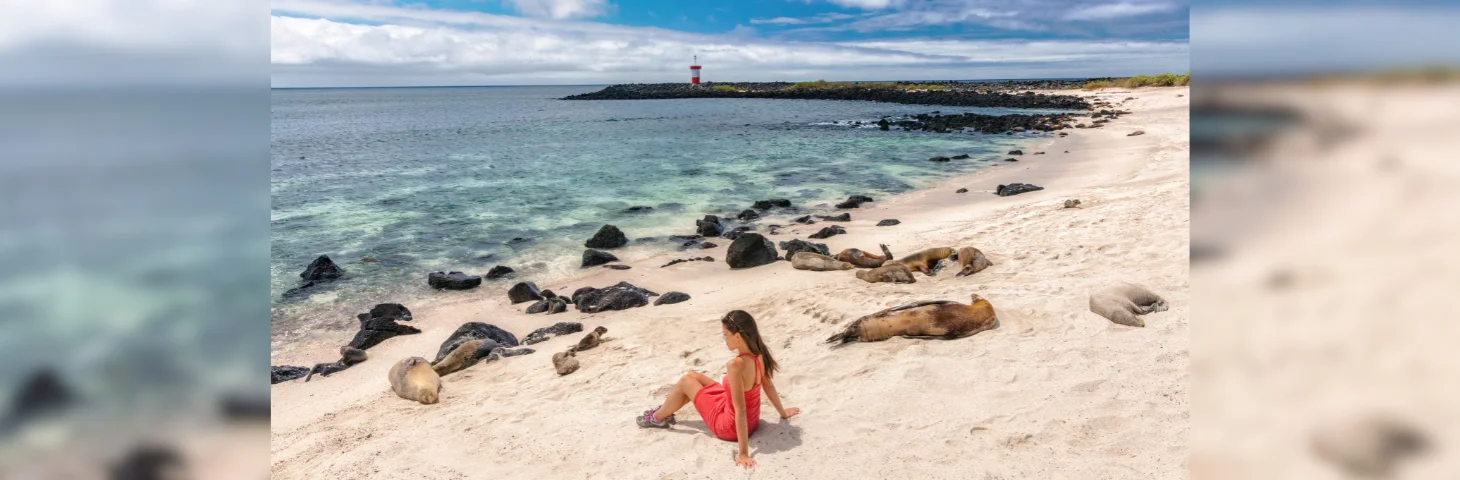 A young person in a red dress on a beach in the Galápagos Islands, surrounded by seals.