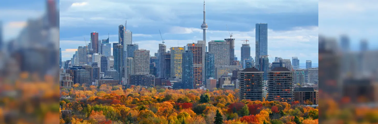 Toronto skyline with autumn leaves in the foreground