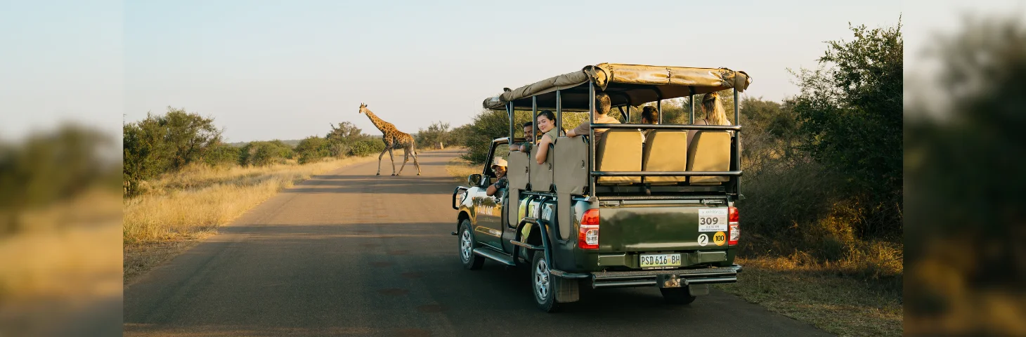 Contiki guests on a jeep on a safari. A giraffe crosses the road ahead of them.