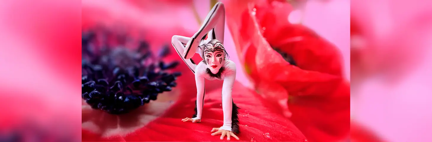 Promotional image for the Ovo show featuring the lead character of a ladybird