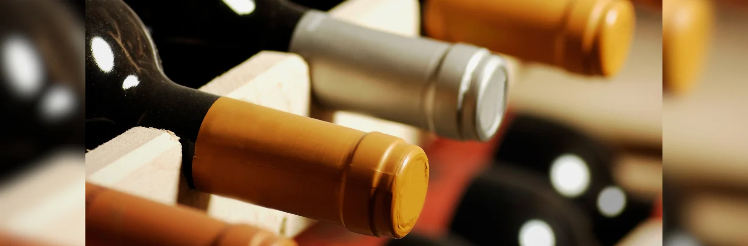 Bottles of wine in a wine cellar rack.