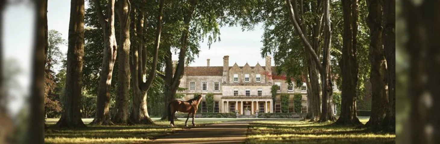The tree-lined driveway leading to Lucknam Park Hotel & Spa.