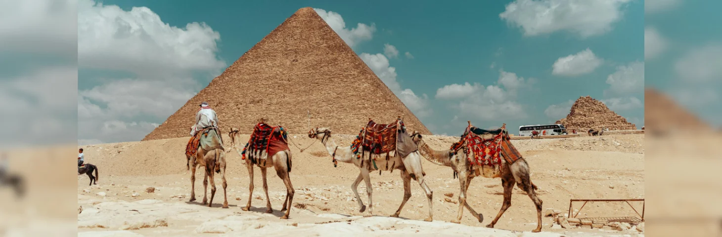 Camel Caravan at the Great Pyramid of Giza.,