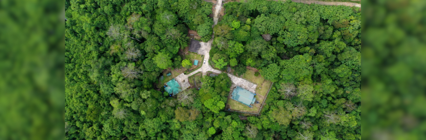 Aerial shot of the Tabin Rainforest Lodge, Malaysia.