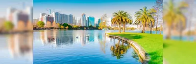 Orlando skyline.
