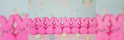 Image of marshmallow pink rabbits in a line with mini eggs in front 
