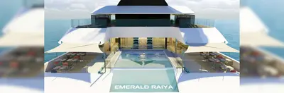 Back view of Emerald Raiya 