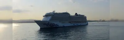 AROYA in the sea