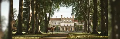 The tree-lined driveway leading to Lucknam Park Hotel & Spa.