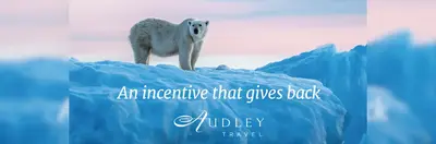 A polar bear stood on blue ice with the words 'An incentive that gives back' underneath