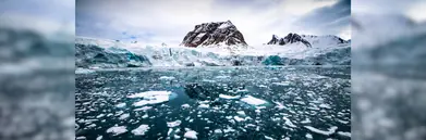 Iceberg