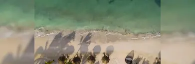 An aerial view of a beach in Jamaica