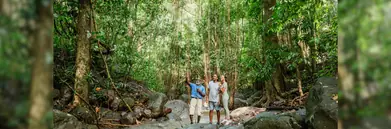 A trio is a forest in St Kitts