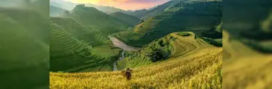 Image-of-hapao-rice-terraces