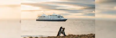 Penguins in front of sea with cruise ship 