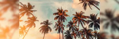 Image-of-california