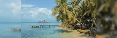 Tropical beach with cruise ship in background