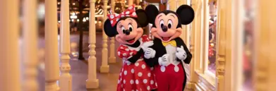 Image-of-mickey-minnie