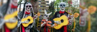 Image-of-san-diego-tourism