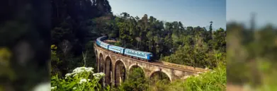 Train on viaduct on the Kandy to Ella journey