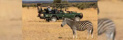 Image of tourists looking at a Zebra on the Safari Plains itinerary