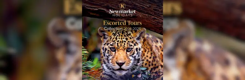 The cover of Newmarket Holidays' Escorted Tours Collection 2024-2026 brochure, featuring a young cheetah.