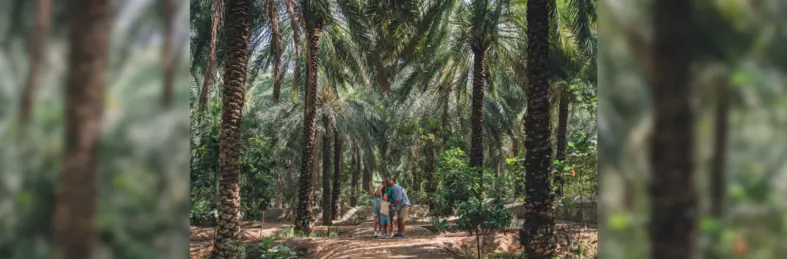 A family in a jungle-esque hotel garden in Ras Al Khaimah, with the youngest child pointing to the sky.