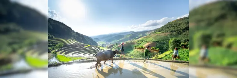 Mu Cang Chai, Vietnam.