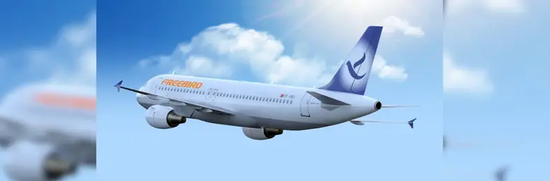 Image of a Freebird plane. 