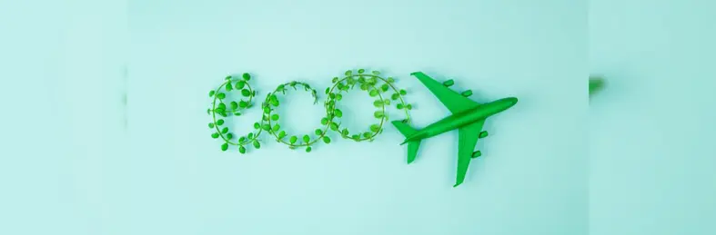 Leaves spelling out the word 'eco' next to a green plane facing forwards.