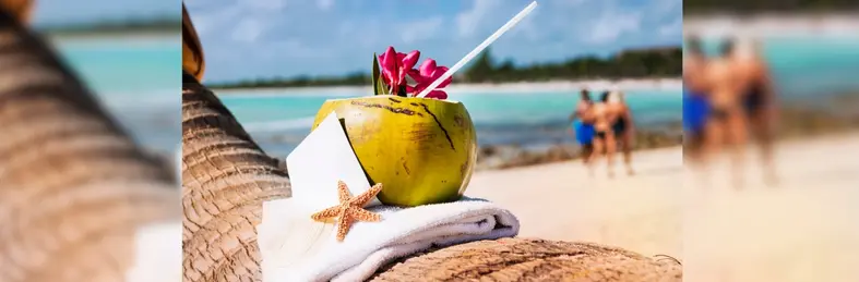 A coconut drink on a palm tree on a beach