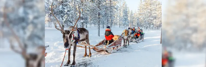 Image of people in a sled pulled by a reindeer against a snowy backdrop