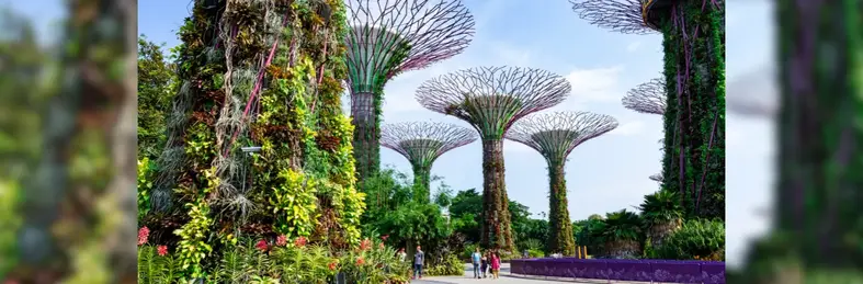 Image of the futuristic trees at the Garden by the Bay in Singapore