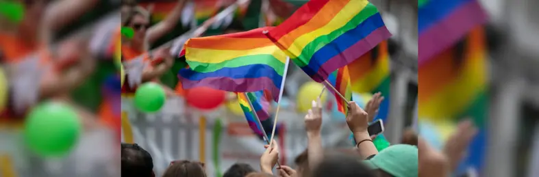 Image of people waving Pride flags