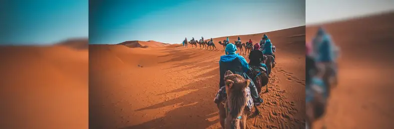 Image of a group of people riding camels in the desert