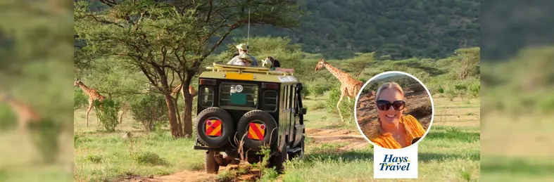 A 4x4 vehicle driving past giraffes on a safari in South Africa, overlaid with Natalie Taylor's headshot and the Hays Travel logo.