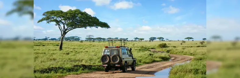 A 4x4 driving through the Serengeti. 