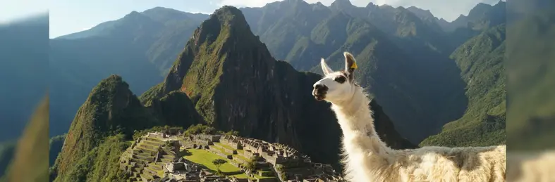 A llama stood near Macchu Picchu in Peru.