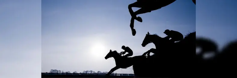 Silhouette of horse jumping
