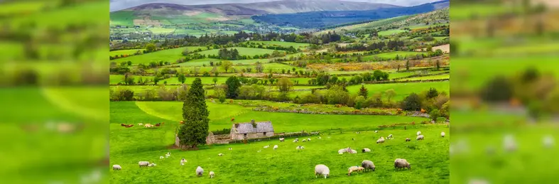 Irish countryside
