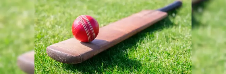 A cricket bat and ball lying on the grass 