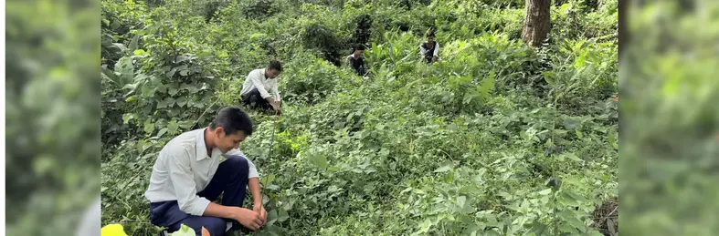 Workers planting trees.