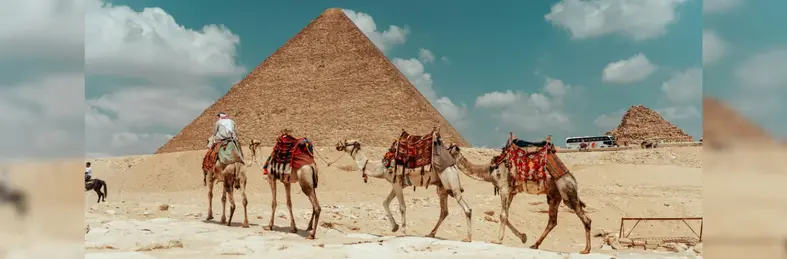 Camel Caravan at the Great Pyramid of Giza.,