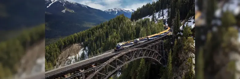 The Rocky Mountaineer travelling through evergreen trees with the Rockies in the background